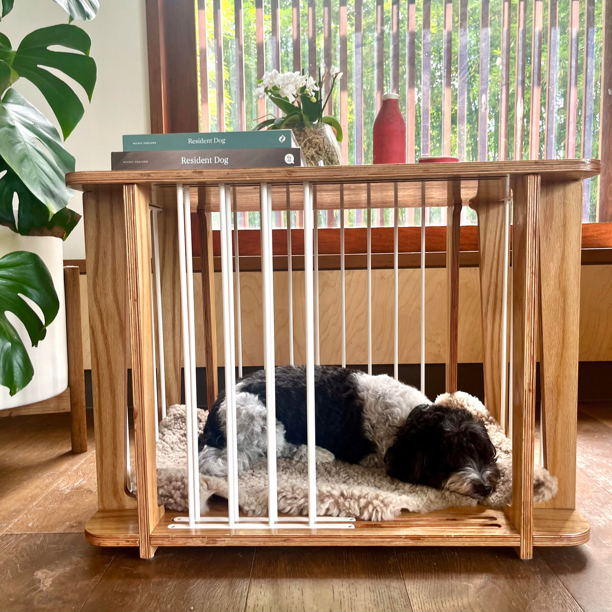 why-use-a-wooden-dog-crate-hint-dog-crate-furniture-the-paws-room