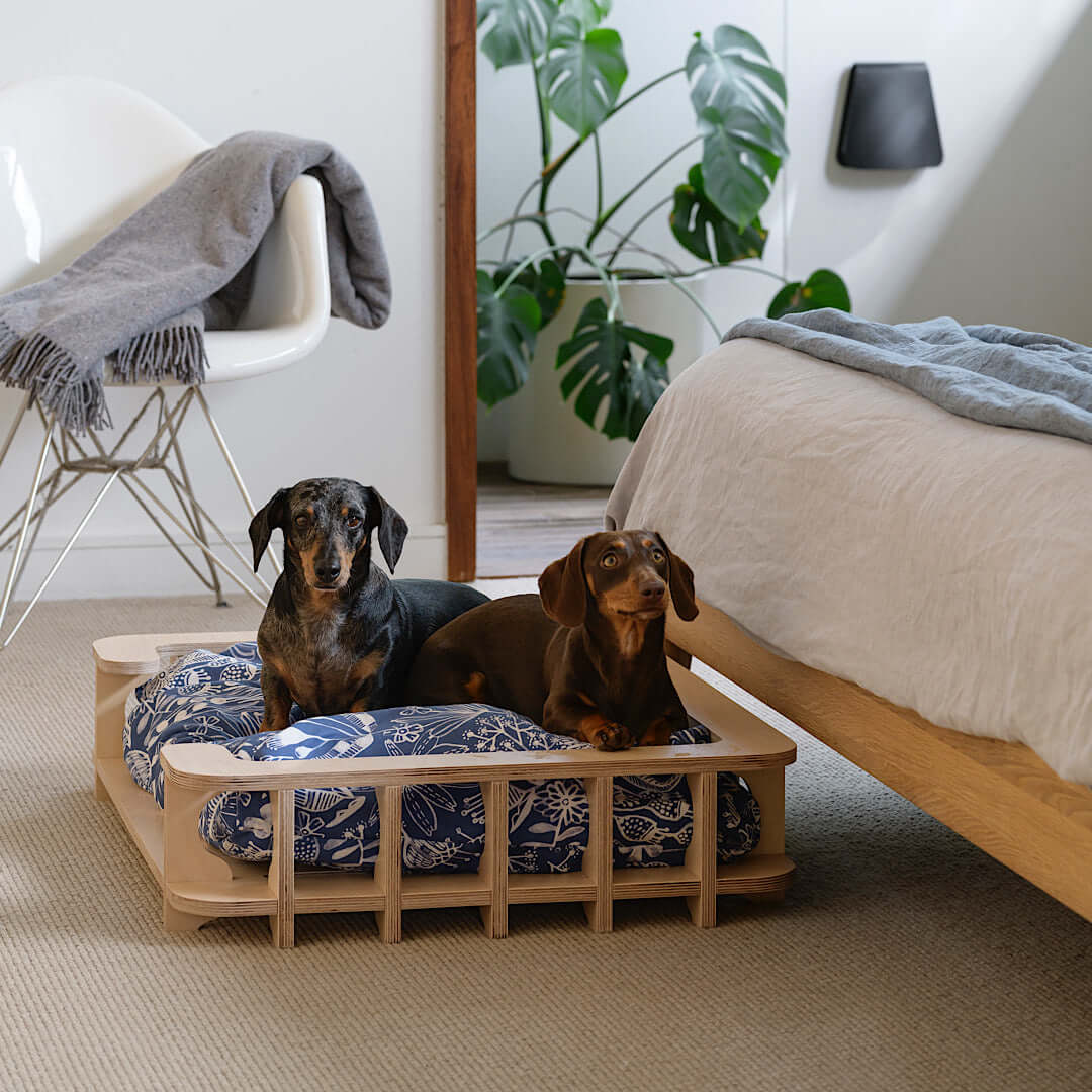 Serena and outlet lily dog bed