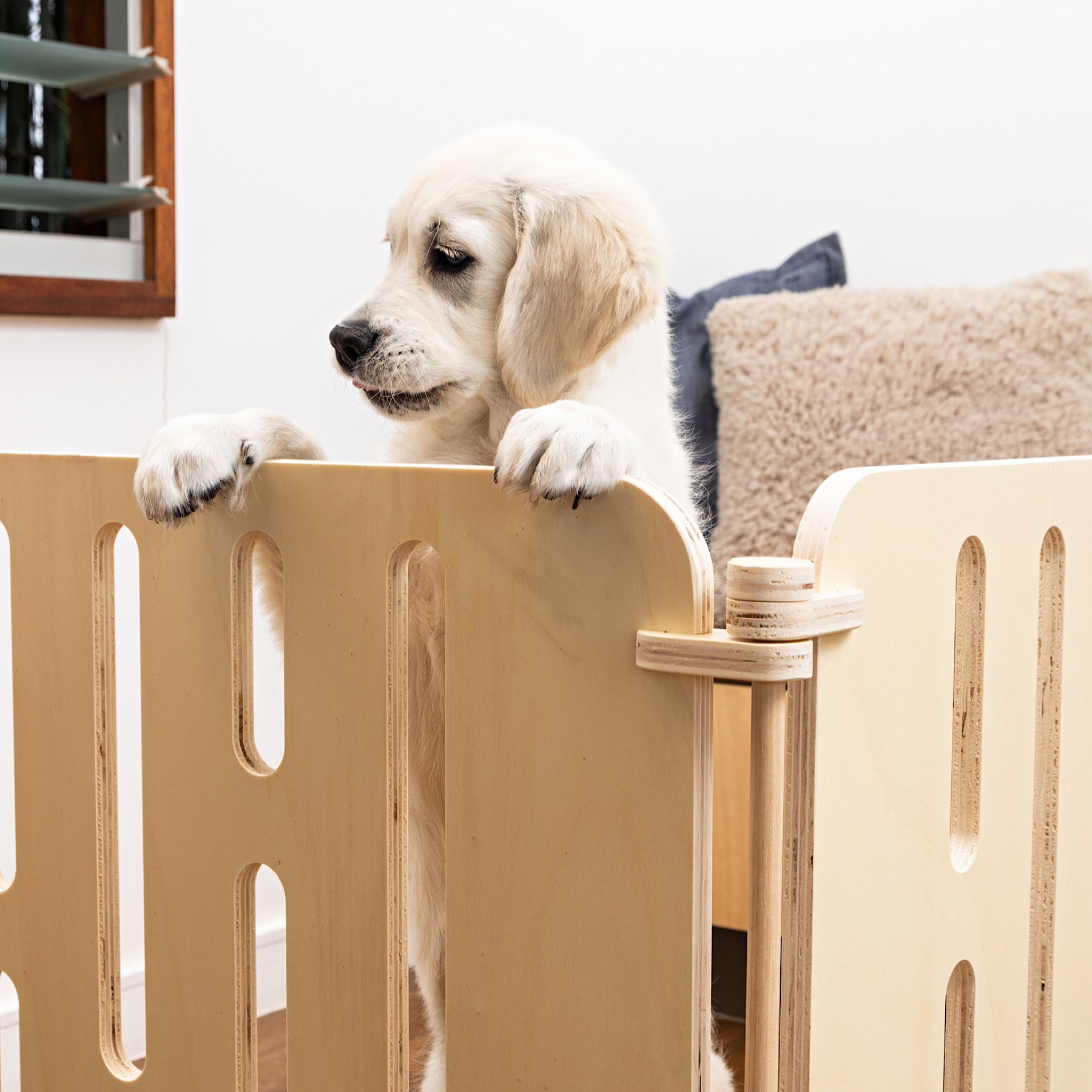 wooden-dog-crate-decorating-ideas-for-your-home-the-paws-room