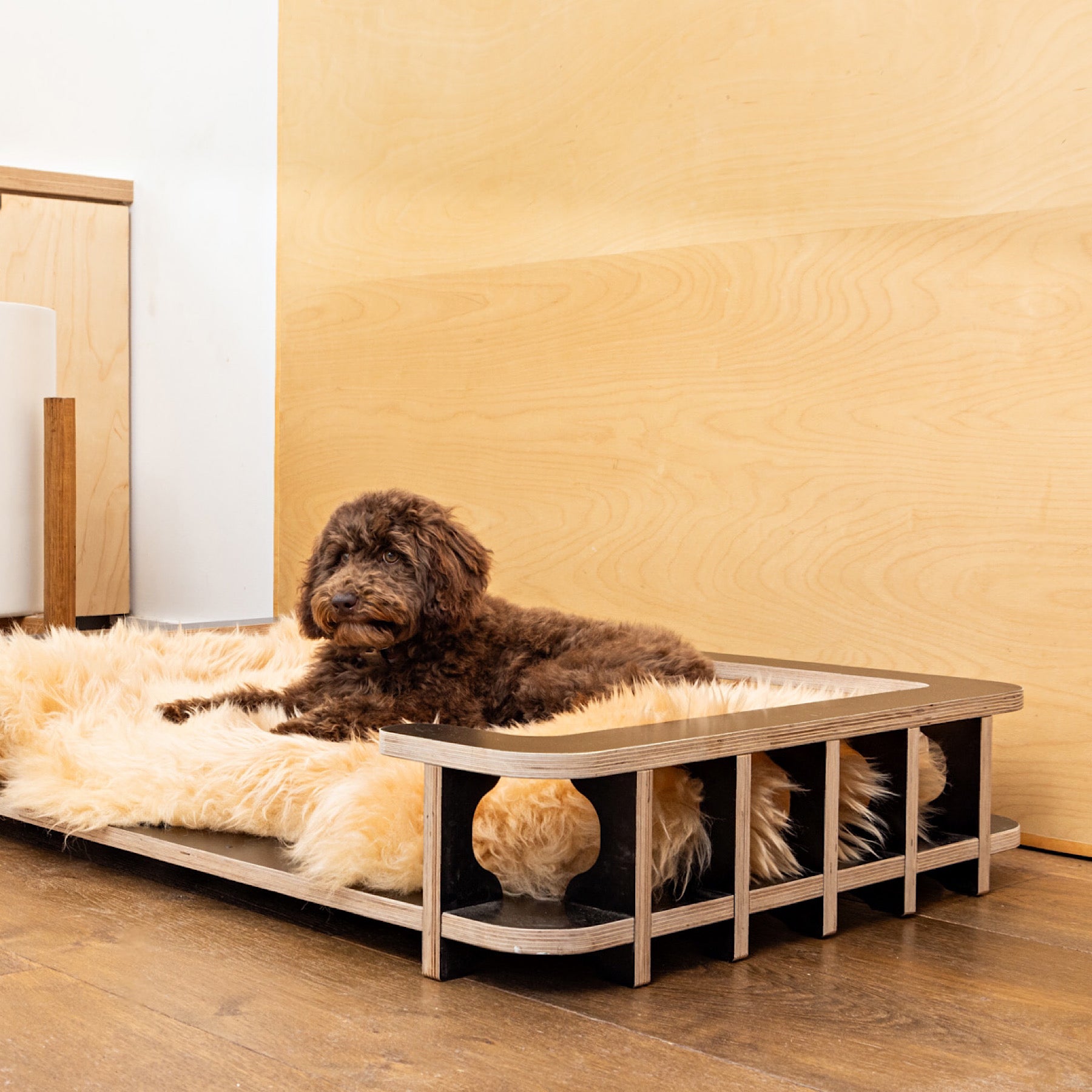 wooden-dog-crate-decorating-ideas-for-your-home-the-paws-room