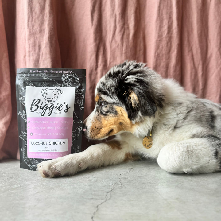 Biggie’s Coconut Chicken Training Treats package for dogs