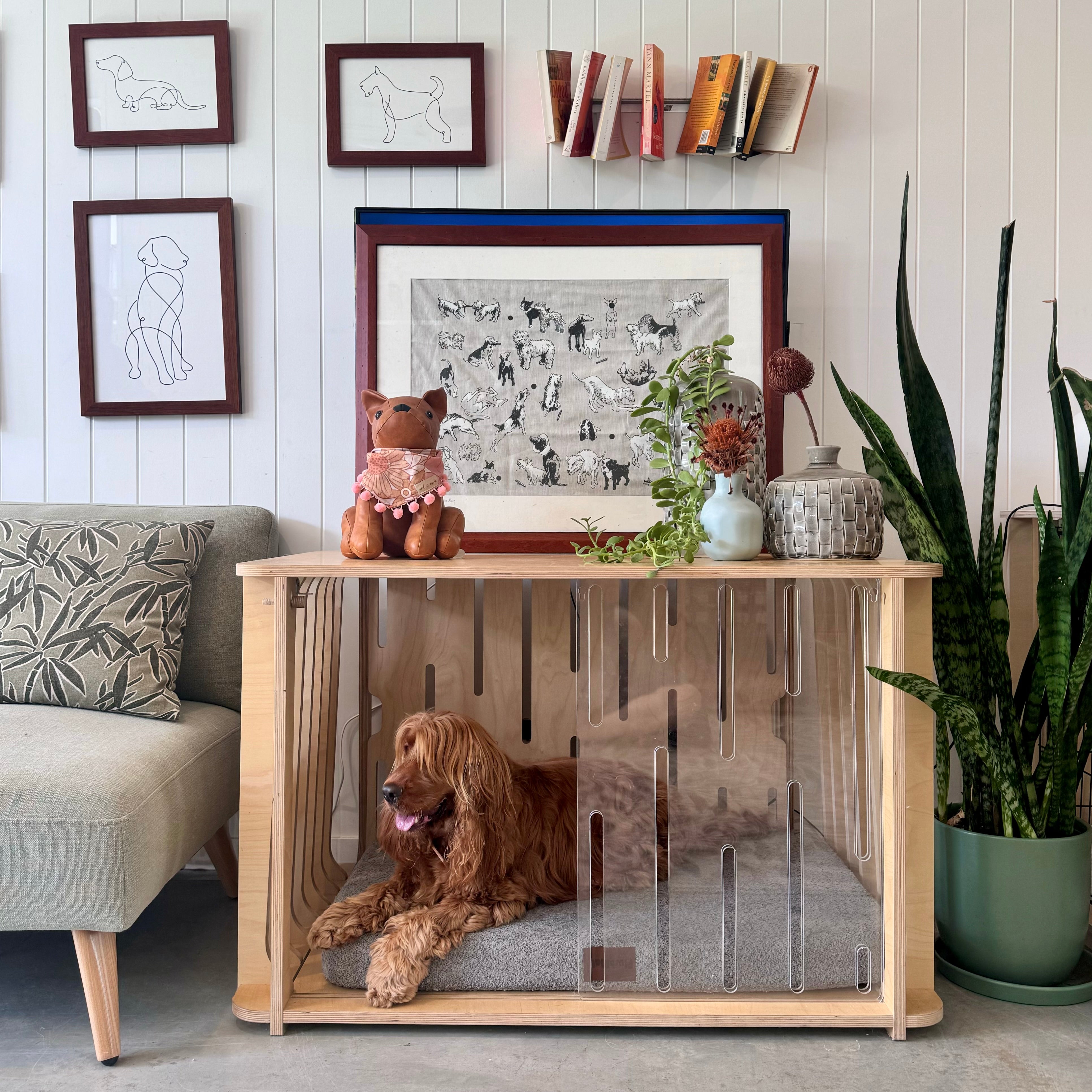 Large Teddy Crate Bundle - Save more with FREE SHIPPING