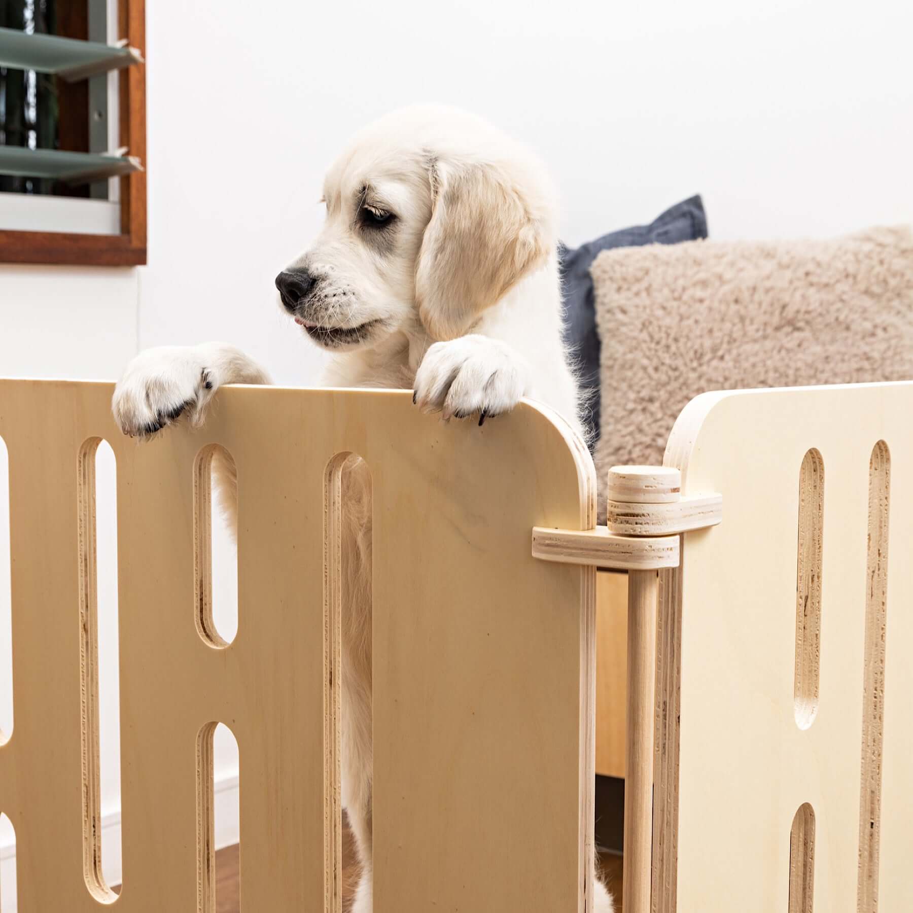 Buddy The Modern Puppy Pen The Paws Room