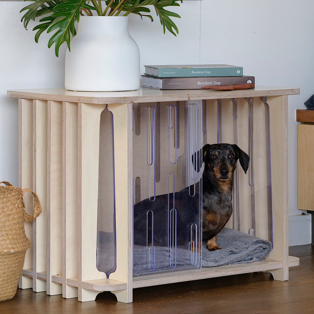 The Teddy Designer Dog Crate with a comfortable interior on a wooden floor